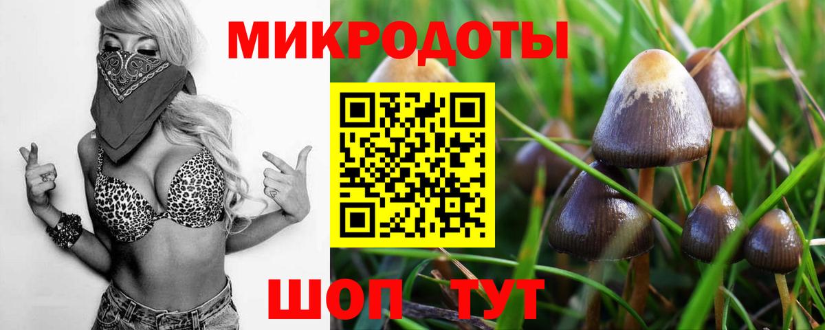 Псилоцибиновые грибы MAGIC MUSHROOMS Азов